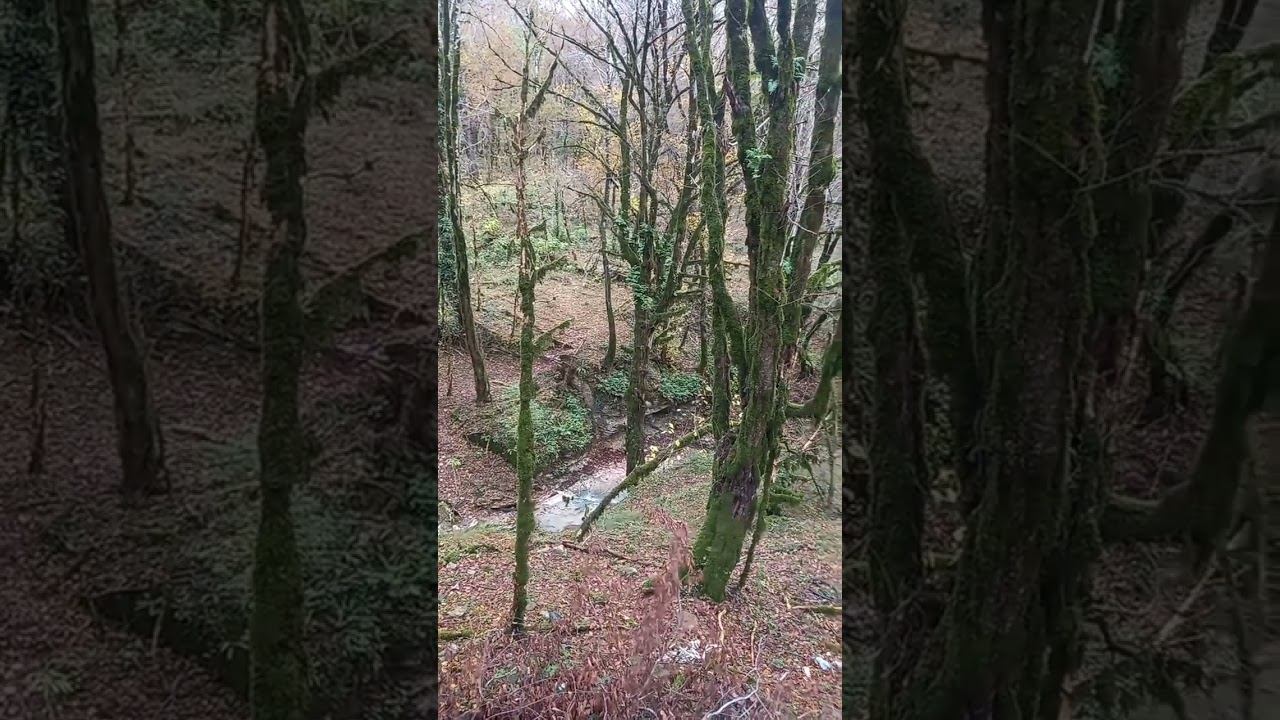 Немного горной реки, Сочи. #сочи #адлер #горы Немного горной реки, Сочи. #сочи #адлер #горы