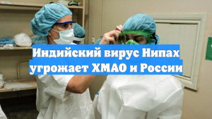 Индийский вирус Нипах угрожает ХМАО и России