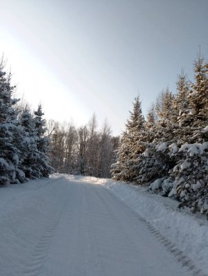 Давайте знакомиться 💞