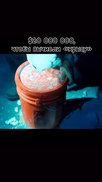 Лакомый кусок