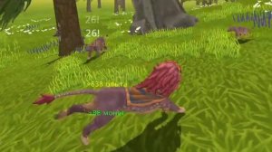 Рыжелапая, прости меня:(