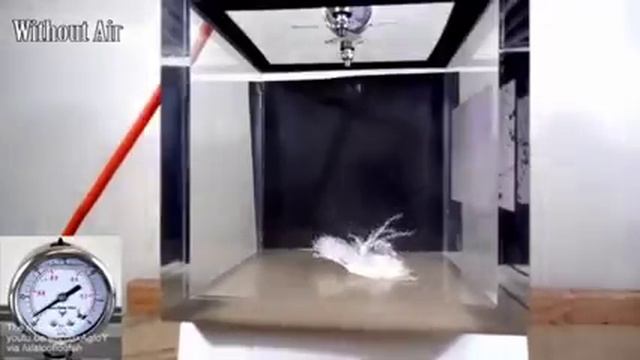 Бросание пера и металлического куба в вакууме и в воздухе смотреть онлайн