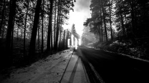 ✌︎㋡Стрим музыка ня. любой цвет и вкус.×̷̷͜×̷