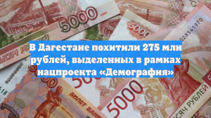 В Дагестане похитили 275 млн рублей, выделенных в рамках нацпроекта «Демография»