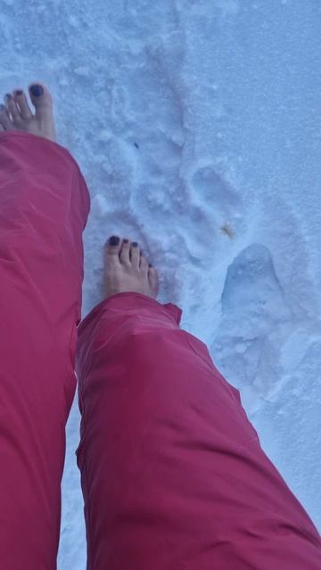 04-02-2026 смотреть онлайн