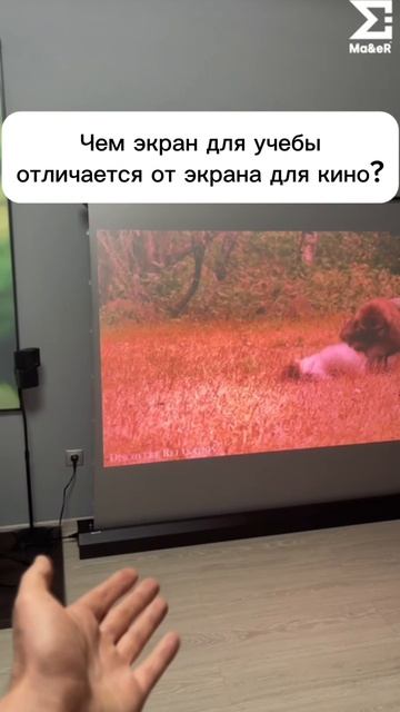 Чем экран для учебы отличается от экрана для кино?
