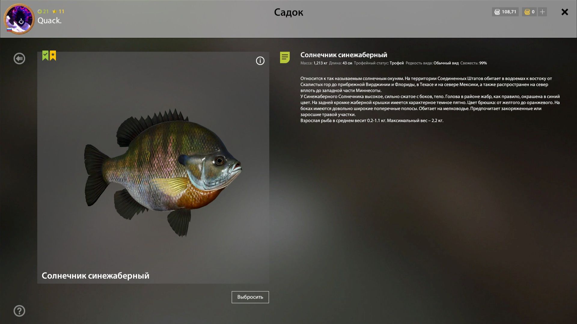 Играем в Russian Fishing 4 ловим разную рыбу на оз.Лосиное.(Трофей солнечника!) смотреть онлайн