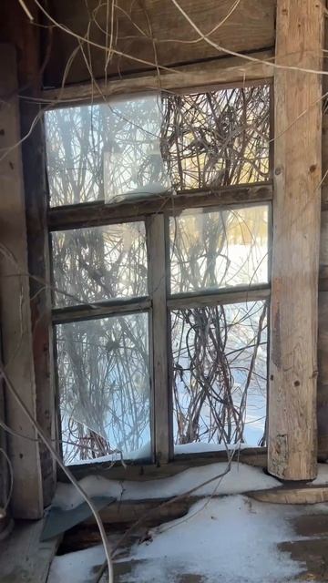 Тянет вернуться #Память #Дом #Отец #Воспоминания #Деревня #Мама