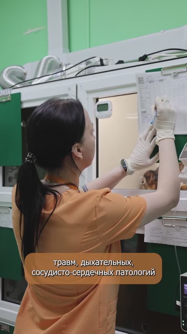 Отделение реанимации и интенсивной терапии в ветеринарной клинике Лапа Помощи