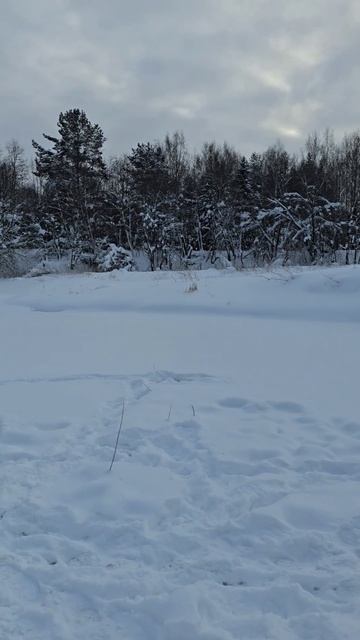 🎣На рыбалке❄️ #зимняярыбалка #рыбалка #рыбалказимой #костромскаяобласть