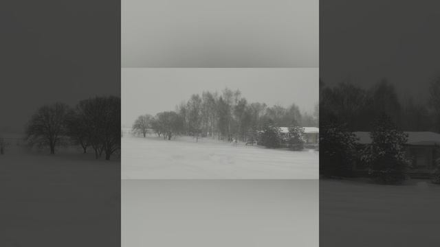 Мария Батова «Давидова звезда»