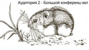 Аудитория 2 - Экология млекопитающих, экология - 1