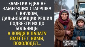 Истории из жизни: Заметив едва не замерзших старушку с внуком, дальнобойщик подвез их до больницы…