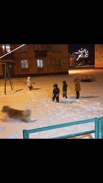 дети снег новыйгод