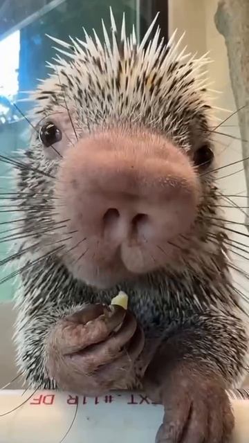 Ну показывайте!