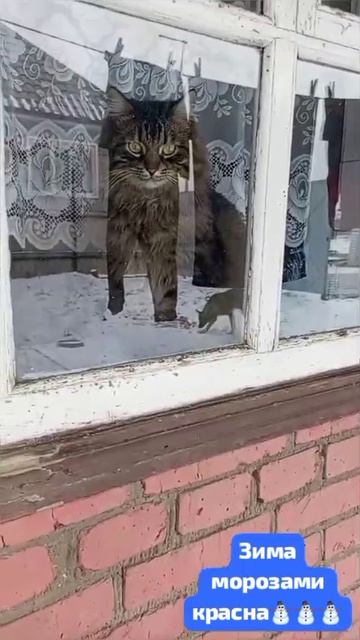 Зима морозами красна.