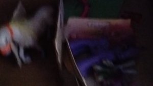 обзор конюшни