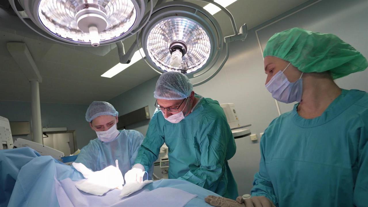 В России и мире отмечается День борьбы с онкологическими заболеваниями. смотреть онлайн