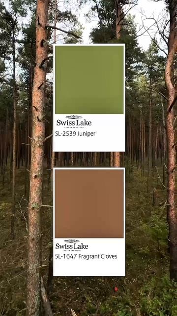 Какой оттенок краски Вы бы выбрали для своего дома?