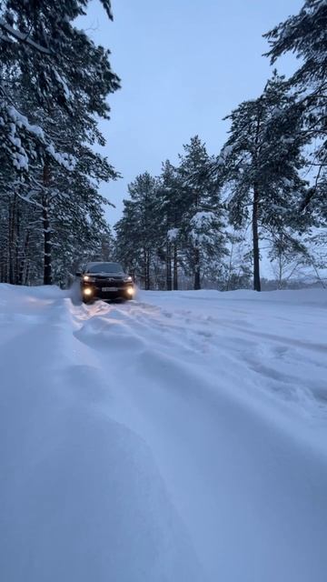 Красивая зима 2026