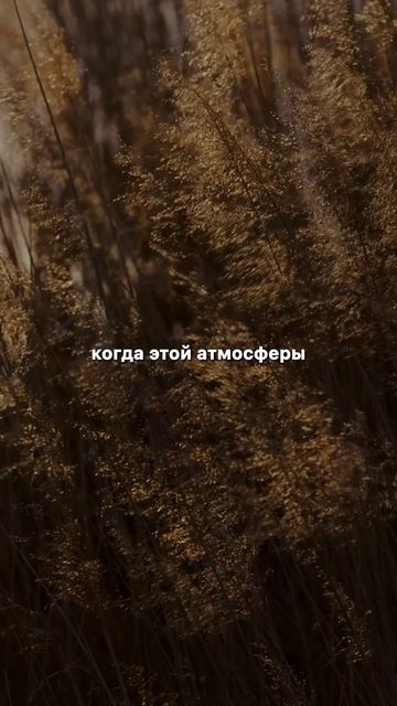 Любовь — это действие #христианство #церковь #любовь