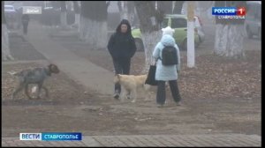 «Вести. Ставропольский край» 4.02.2026 (21.10)