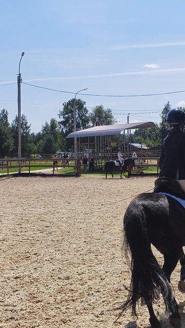 Соня и Наоми, разминочный галоп перед стартом.