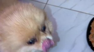 Пришло время плотно подкрепиться.