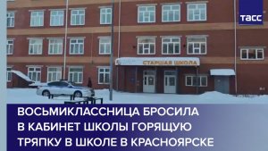 Восьмиклассница бросила в кабинет школы горящую тряпку в школе в Красноярске