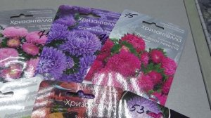 2190.  Астру сеять дома или нет?