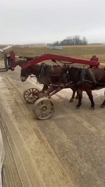 Технологии 🤣 смотреть онлайн