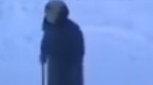 короче 100 дней без рутюба