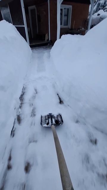 Как чистить садовую дорожку из кирпича зимой? #жизньвдеревне #дачазимой #сад #снег