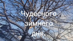 С днём сегодняшним. 
Ангел или птица.