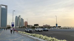 Самолет Уиткоффа прибыл в Абу-Даби