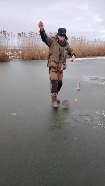 Щука вылетела как снаряд из лунки!