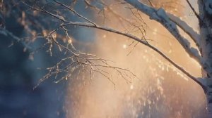 Сергей Есенин — Берёза