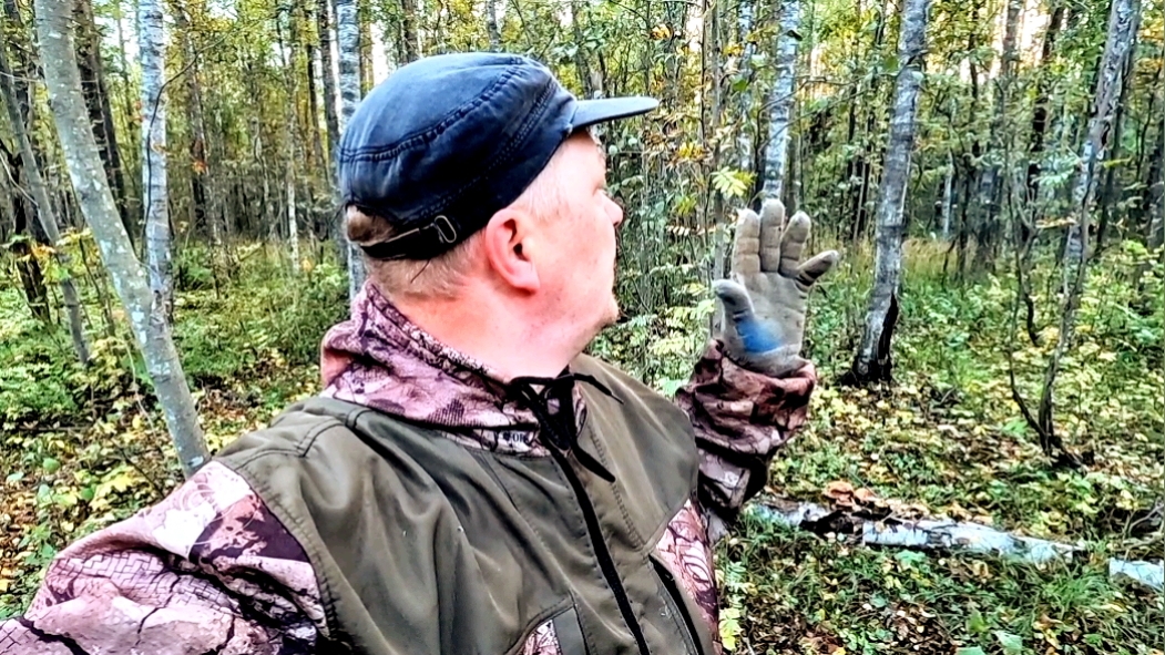 Не ожидал! Загадочные находки среди деревьев. Коп металлолома смотреть онлайн