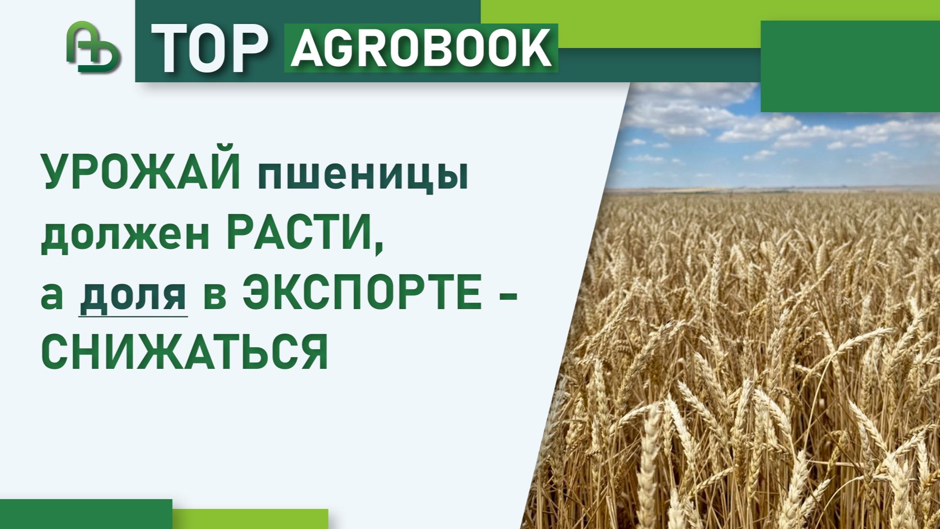 Урожай пшеницы должен расти, а доля в экспорте - снижаться | TOP Agrobook: обзор аграрных новостей смотреть онлайн
