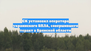 СК установил совершившего теракт в Брянской области оператора дрона ВСУ