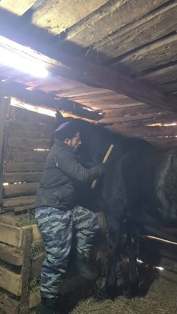 Как подобрать хомут