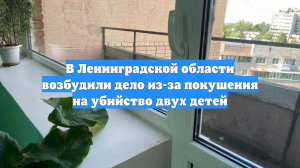 В Ленинградской области возбудили дело из-за покушения на убийство двух детей