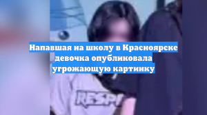 Напавшая на школу в Красноярске девочка опубликовала угрожающую картинку