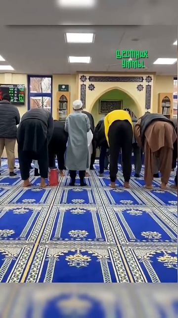 43 мечети. И он заговорил! Реальный результат! → 👤 #Вестник_Уммы