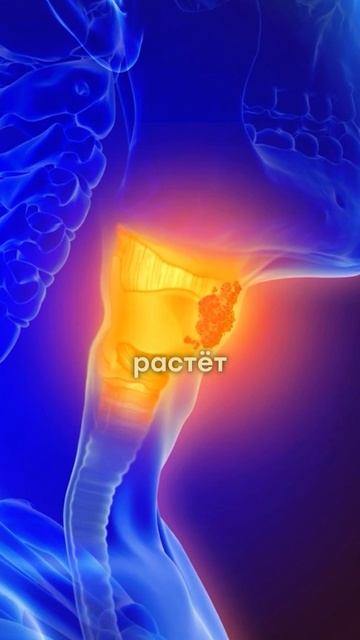 Вес с возрастом начинает расти?Хочешь оздоровить себя? Свяжись со мной по ссылке в шапке