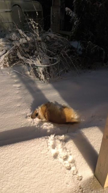 зимнее дачное