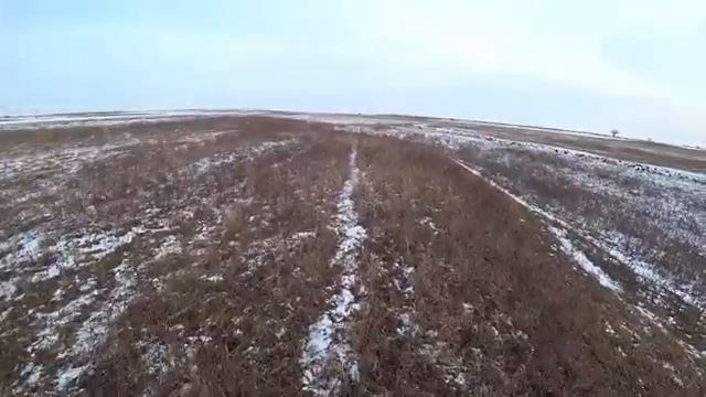 Охота на зайца. ЗАЙЦА ОЧЕНЬ МНОГО. СОБАКА РАБОТАЕТ, ТОЗ - 34 ВАЛИТ НА ПОВАЛ. смотреть онлайн