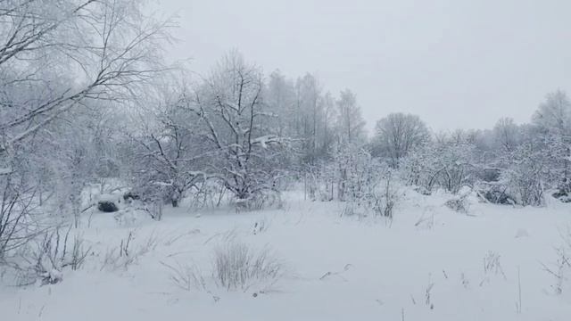 п. Лесное 50:18:0070305:642