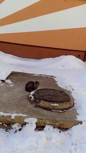 иду из школы