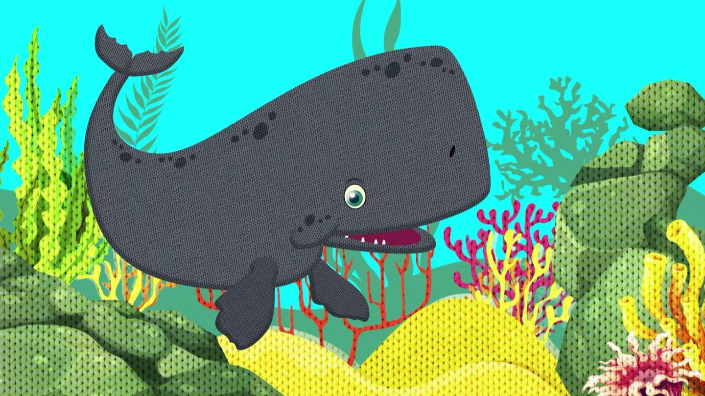 КАШАЛОТ-ПАРОХОД -Морские животные для детей-Песенки для детей-Песенка про кашалота-Зебра в Клеточку